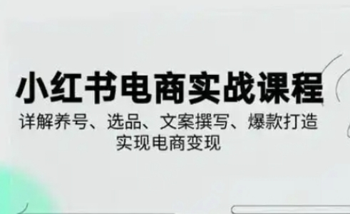 小红书从0-1实操课(2023-2025),详解养号、选品、文案撰写、爆款打造实现电商变现-网创终点站