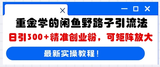 重金学的闲鱼野路子引流法,日引300+精准创业粉,可矩阵放大-网创终点站